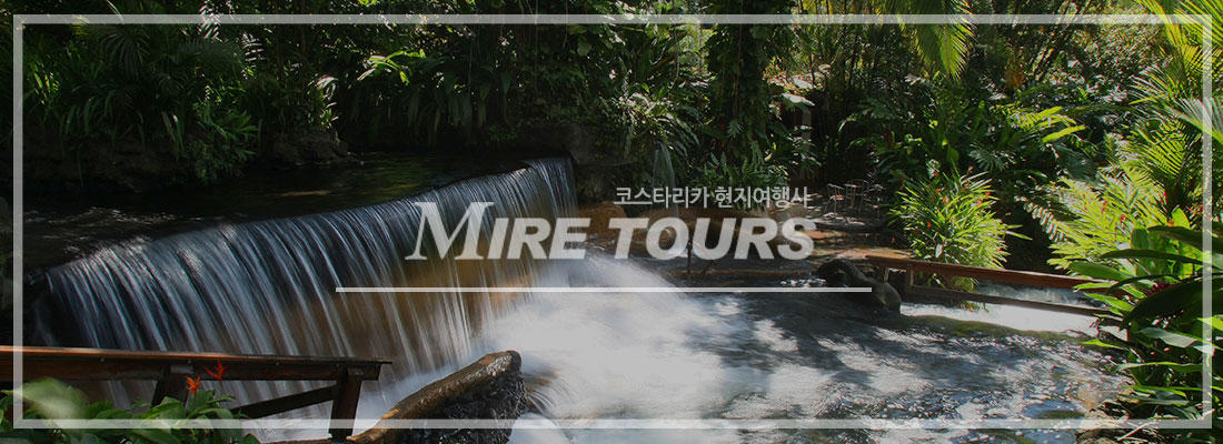 �ڽ�Ÿ��ī �Ʒ��� ȭ��� ���������� ����